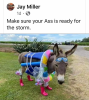 521956