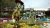 F & G topiary woody.jpg