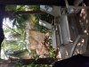 20190626_131315.jpg
