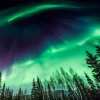 F192864F-D71C-43DD-925D-1AC70A69CBC1.jpeg