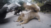 415508462993105.gif