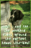 54E3B46A-785F-45C7-AFD9-12BBCE10C4CF.gif