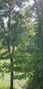 Screenshot_20200904-163718_Gallery.jpg