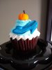 IMG_20200905_144037427.jpg