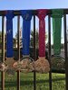 IMG_6108.jpeg
