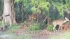 20170921_182743.jpg