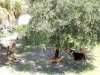 20200906_142738.jpg
