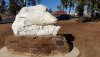 7 new Murray cod marble sculpture recog breed fish in Condamine 20190831_082532.jpg