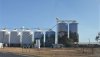 8 Silo art Yelarbon fin June 2019 Castillejos Bruce and Falco 20190831_100518.jpg