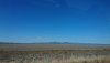 8B Dry between Moree and Narrabri where had lu DSC_0715.JPG