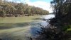 24 Lu by Murrumbidgee River Hay DSC_0751.JPG
