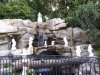 20180604_085735.jpg