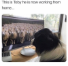 102751050_2700343160071174_7827871213535956149_n.png