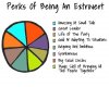 Extrovert.jpeg