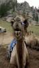 FA72599D-2D63-411A-B712-8C1F0182220C.gif