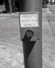 527024