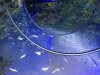 F332585D-8736-4C48-85DD-4865385A3863.jpeg