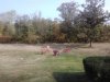 20200922_101428.jpg