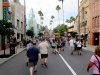 covid disney - 1.jpg