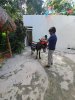 cozumel20.jpg