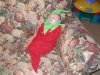 Elizabeth Chili Pepper.jpg