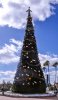 10-1026-EP Christmas 1026-Edit.jpg