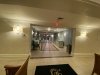 IMG_8359.jpeg