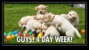 689DCBFF-5B03-46DF-B5F9-5AC51CE6D13B.jpeg