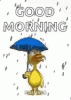 4DAA8B89-DF49-42BF-8C47-09BD3ED1C9C6.gif