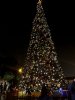 IMG_5859.jpg