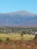 Mt. Washington Oct 20.jpg