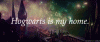 DE907906-62E8-4857-84B2-1EB6A4D34325.gif