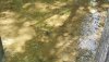 20160731_114621.jpg
