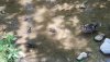 20160731_114638.jpg