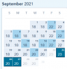 Screenshot_2020-10-23 Book a Resort Disney Vacation Club.png