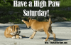 58BCF090-2DB1-44C7-B44E-D8B216711E28.png