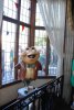 D467DCD7-4696-4EED-8D60-E43899BA129A.jpeg