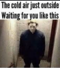 534729