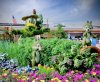 15-1876-EPFG_DonaldDuck 1876-Edit.jpg