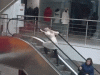e72f1f3f9b6cdf246ce93a2e2ce1972a.gif