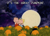 great pumpkin.gif