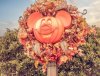 14-0670-MK Halloween 0670-Edit.jpg