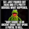 kermit.jpg