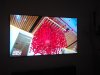 20201103_181707.jpg