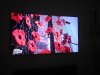 20201103_181719.jpg