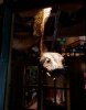 20201110_071440.jpg