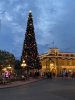 F2AE0ED2-C718-47CA-8A00-C483BC6C8E76.jpeg