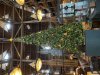 WL Tree.jpeg
