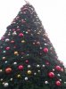20201112_192330.jpg