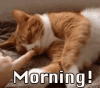 D28D166F-11D1-4C44-9D16-F52EA646CD5E.gif